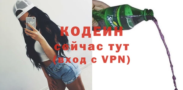 индика Бугульма