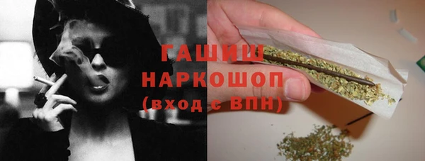 ГАЛЛЮЦИНОГЕННЫЕ ГРИБЫ Белокуриха