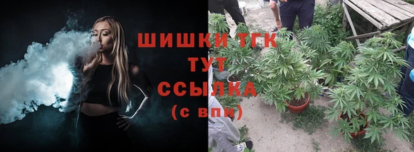 ГАЛЛЮЦИНОГЕННЫЕ ГРИБЫ Богородск