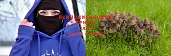 винт Богданович
