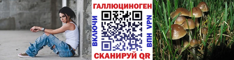 Псилоцибиновые грибы Cubensis Бугуруслан