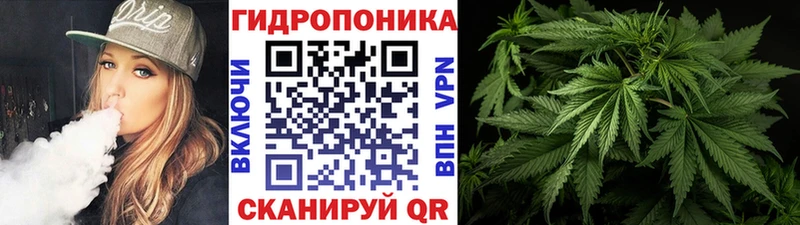 купить цена Бугуруслан ОМГ ОМГ ONION Бошки Шишки тримм